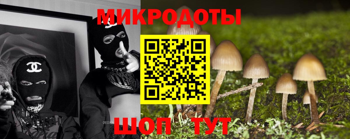Галлюциногенные грибы GOLDEN TEACHER  Псилоцибиновые грибы MAGIC MUSHROOMS  Новосибирск  Вход с VPN 